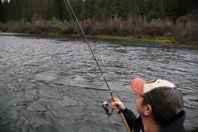 DSC_0168 (Large).JPG